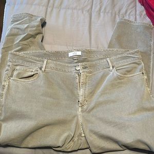 Loft light green modern skinny pants size 22